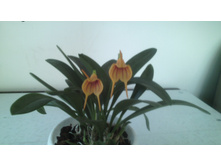 IMG 20141224 190719.jpg