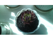 IMG 20141224 191401.jpg