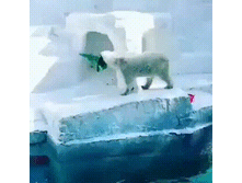 �������� ���� ���������!