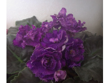 ��-������������ ����.JPG