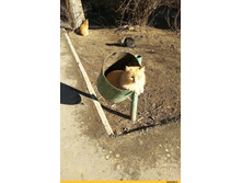 �����������! ���������� ��� �����!