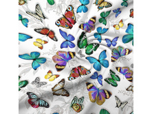 15407 �������.jpg