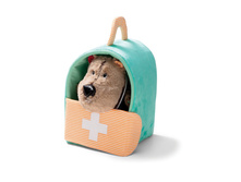 Livre Cesar chez le veterinaire Lilliputiens 3.jpg