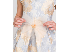 ������ �����-01009013gol 5.jpg