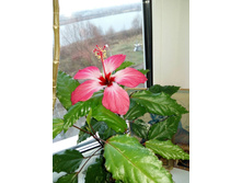 �������� ������