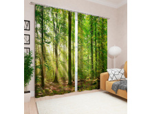 10804 ���� � ����