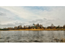 P 20180502 120234 HDR-01.jpeg