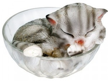 Camelion SG-147 ������� � ������� ��-� �� ����.������� 1LED 2700K, ���������� ������ 442,00.jpg