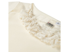 ���. ����