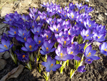 IMG 20180417 155851.jpg