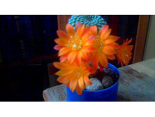 ������� 2018(1)