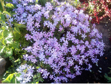 IMG 20180526 183325.jpg