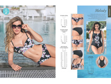 Cat-florange-2018-01 28.jpg