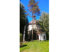 P 20180526 114718-01.jpeg