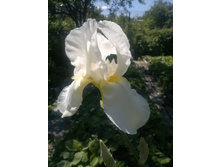 ����  ����������� ������ ����