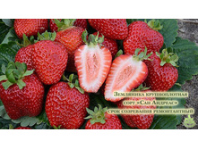 ������������ ��� �������.jpg