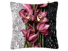 ������� �������������� �������, 03849 0.jpg