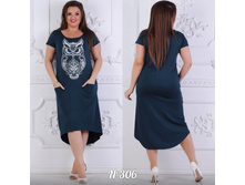 �������� ��������� ������ "�������" LS�1009(306-2).������� 50-56 ����� ����� ������� �����-����� ������ ������� ����: 1000 ���