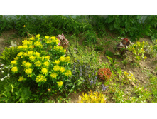 P 20180527 152038.jpg