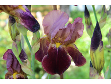 ���� ���� ������� 70�