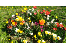 P 20180515 093456.jpg