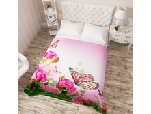 02355 "������ ������� �� �����"