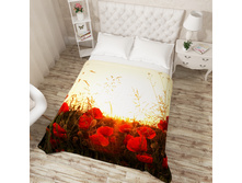 ��������� ��������. 03876 .jpg