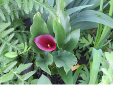 ����� ��� ����.JPG