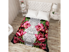 3849 ��������� �������� "�������������� �������"