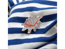 ����� Strombidae �������