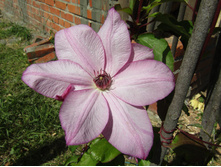 �������� ��������������� �������.JPG