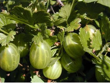 "��������� ������  "  321�