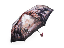 ���� ����: 501 RUB ������� / ���: 965645129 ��������: ����, ������ 112 ��.