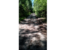 IMG 20180616 120149.jpg