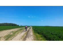 P 20180623 122056.jpg