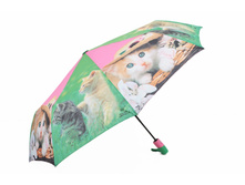 ���� ����: 401 RUB ������� / ���: 965645124 ��������: ����. ������ 108 ��.