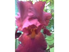 20180606 191154[1].jpg