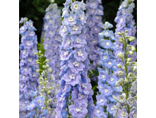 ���������� �������