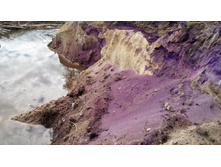 IMG 20180603 092933.jpg