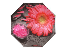 Zont-zhenskiy-163-diniya-3-slozh-s-a-satin-fotoprint-na-polnyy-kupol 12.jpg