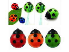 ���������-������ ��� ������ ����� ����� ������� 000011508