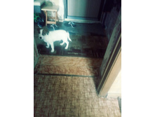 20180605 114920 Film3.jpg