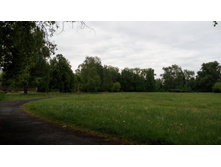 IMG 20180602 102747.jpg