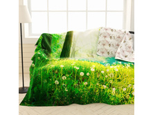 ���� ��������� �������� ��������� ������, ���. ��4-01161.jpg