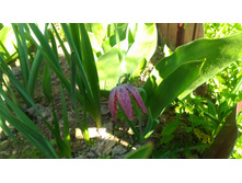 P 20180515 093824.jpg