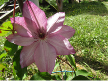 �������� ��������������� �������.JPG