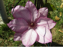 �������� ��������������� �������.JPG