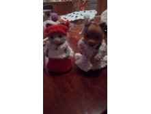 IMG 20180623 215451.jpg