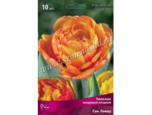 ������� ��� �����.jpg