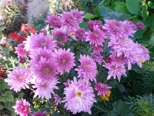 ����������